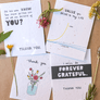 Gratitude, Assorted 4-pack